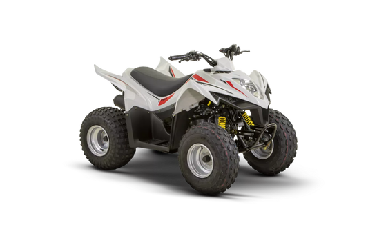 MAXXER 90 non homologué route